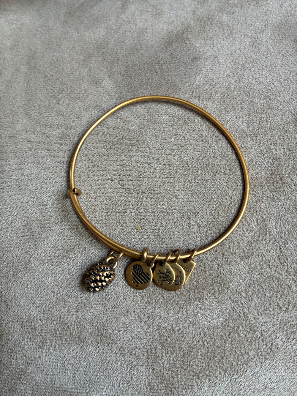 Gold Tone Pinecone Charm Bangle Bracelet - Alex and Ani Style